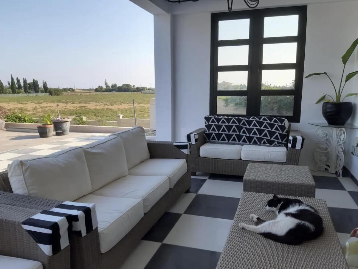 לרנקה The Pervoli Studio - Pool - Close To Beach מראה חיצוני תמונה