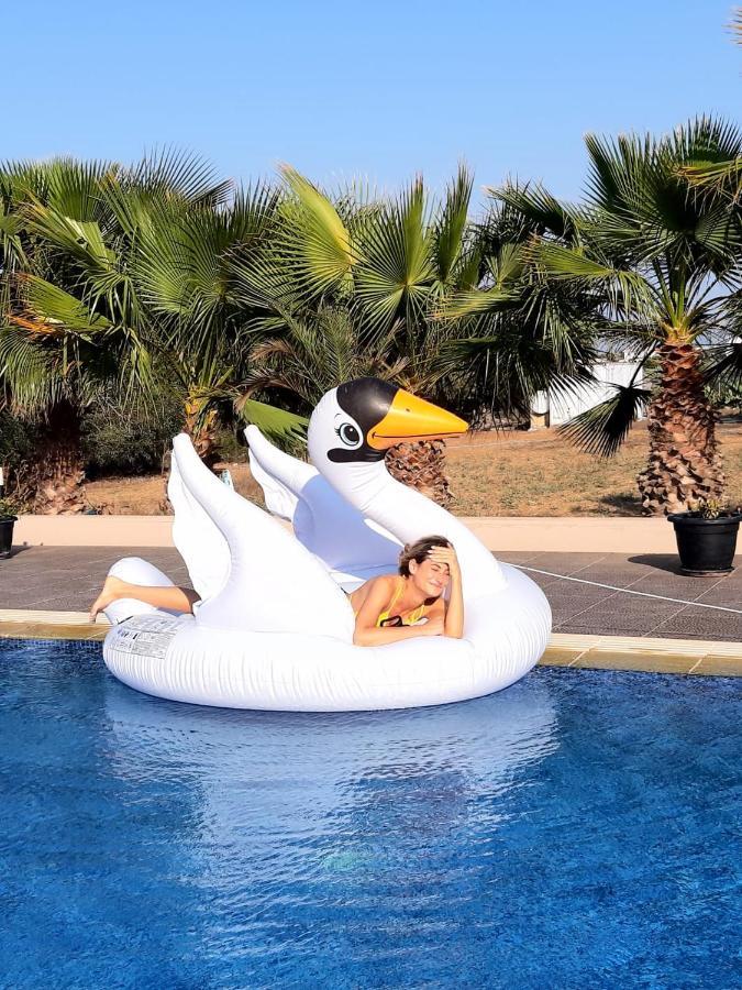 לרנקה The Pervoli Studio - Pool - Close To Beach מראה חיצוני תמונה
